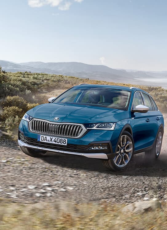 skoda 2.jpg