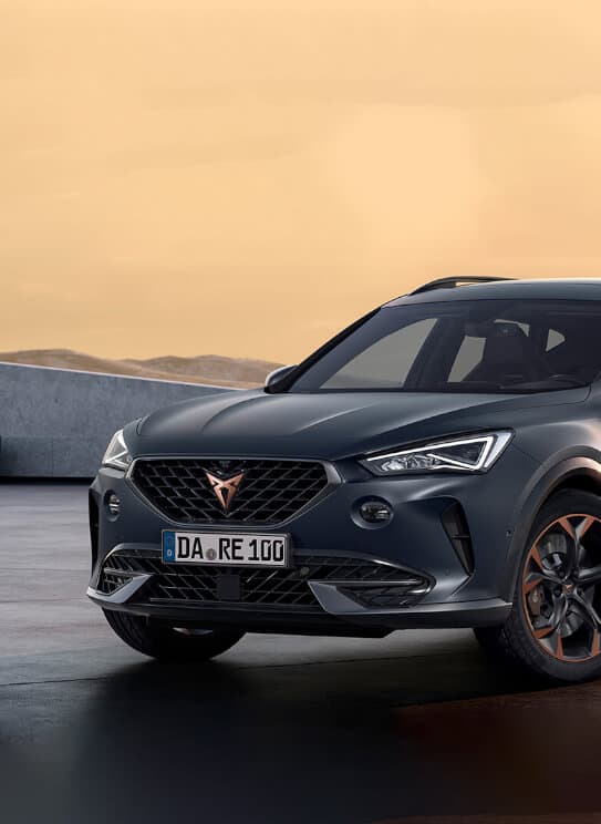 cupra 2.jpg